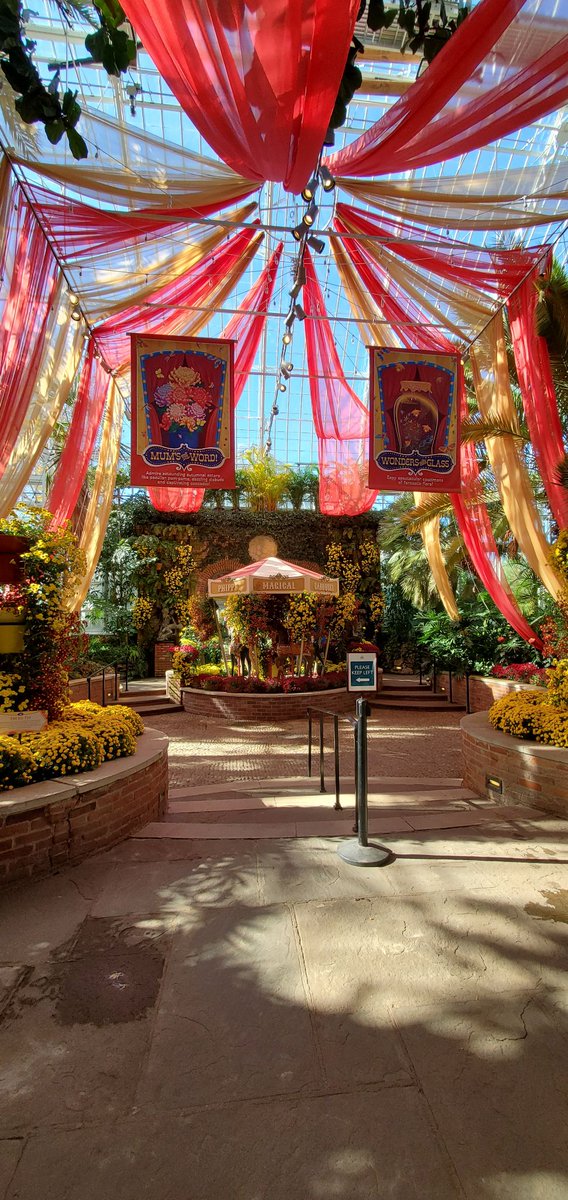 Lauren E. Kachel tweet media