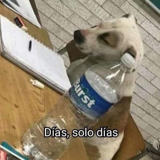 Hangsna's tweet photo. En estos momentos estoy escuchando 'The Astronaut' y como que no estoy bien emocionalmente  🥺🧑‍🚀💜 https://t.co/lJ207niMk6