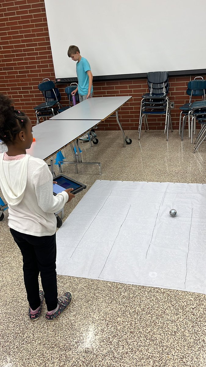 Crystal Lee tweet media