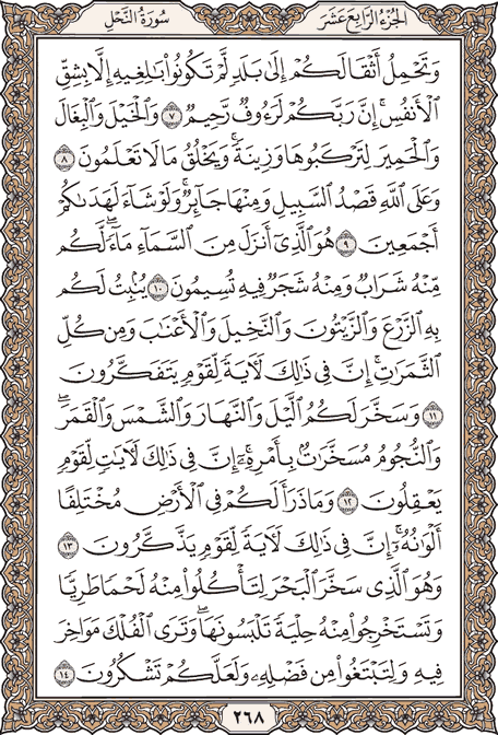 EPL World tweet media