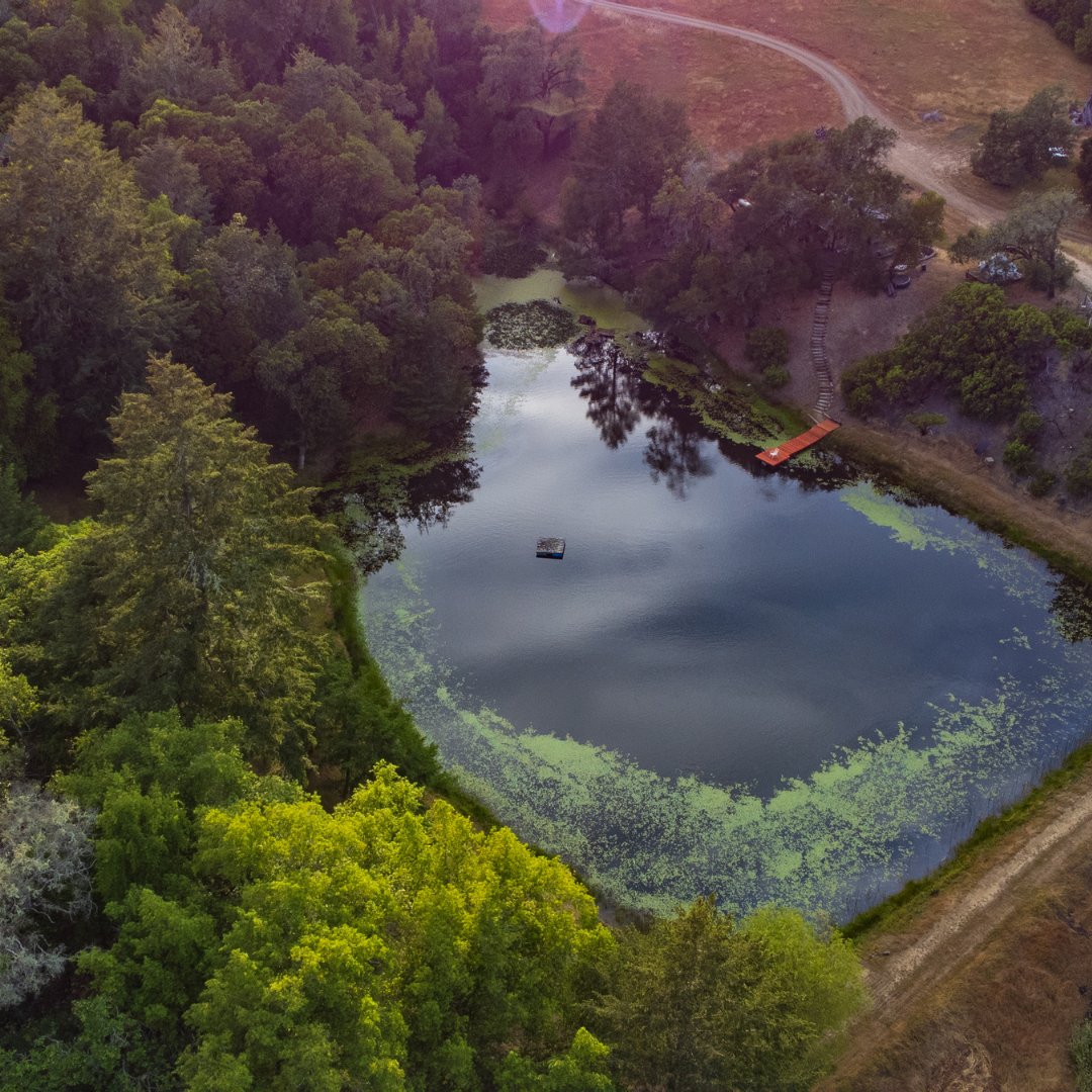 TeravanaFdn's tweet photo. It is our duty to care for the Earth the way it cares for us.

At Teravana, we directly address climate-changing trends to restore biodiversity and natural resilience. We’ve partnered with ecologists and foresters to create a sustainability plan... stay tuned for more news! https://t.co/8yL8wArnZh