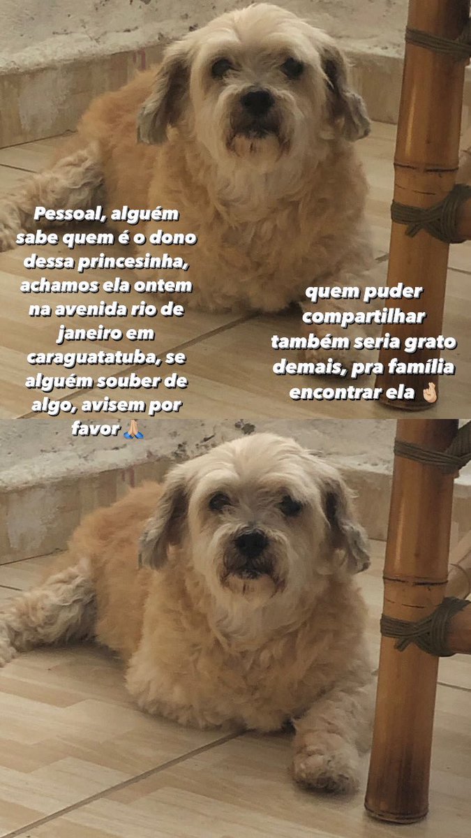 ohigord's tweet photo. POR FAVOR COMPARTILHEM !!!!!!! https://t.co/hRFyKSJKTw