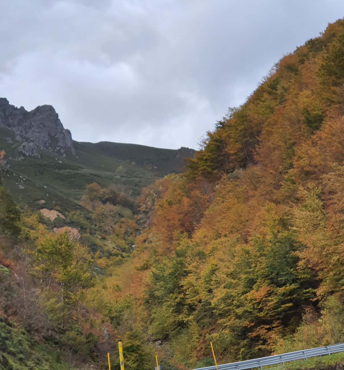 teretesanchez68's tweet photo. #Otoño🌰🍂🍁🍃
#paisajesentreasturiasyleón https://t.co/97Xtuh6TO3