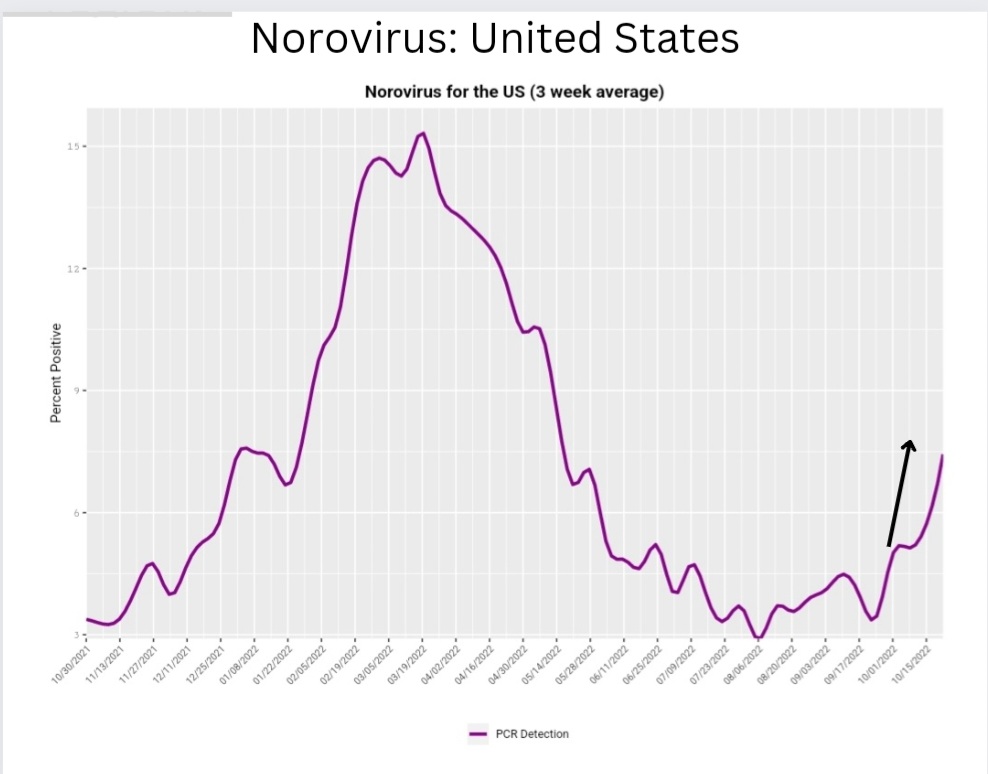 TactNowInfo's tweet photo. 🧵This is huge. ➡️ 8 months to rebuild T-cell &amp; B-cell count after mild to moderate COVID, which leaves people open to other infections!  

It's no wonder many kids are having more severe symptoms.

These viruses are spreading at an exponential rate with unmitigated schools. https://t.co/Z9ewU1IH1F
