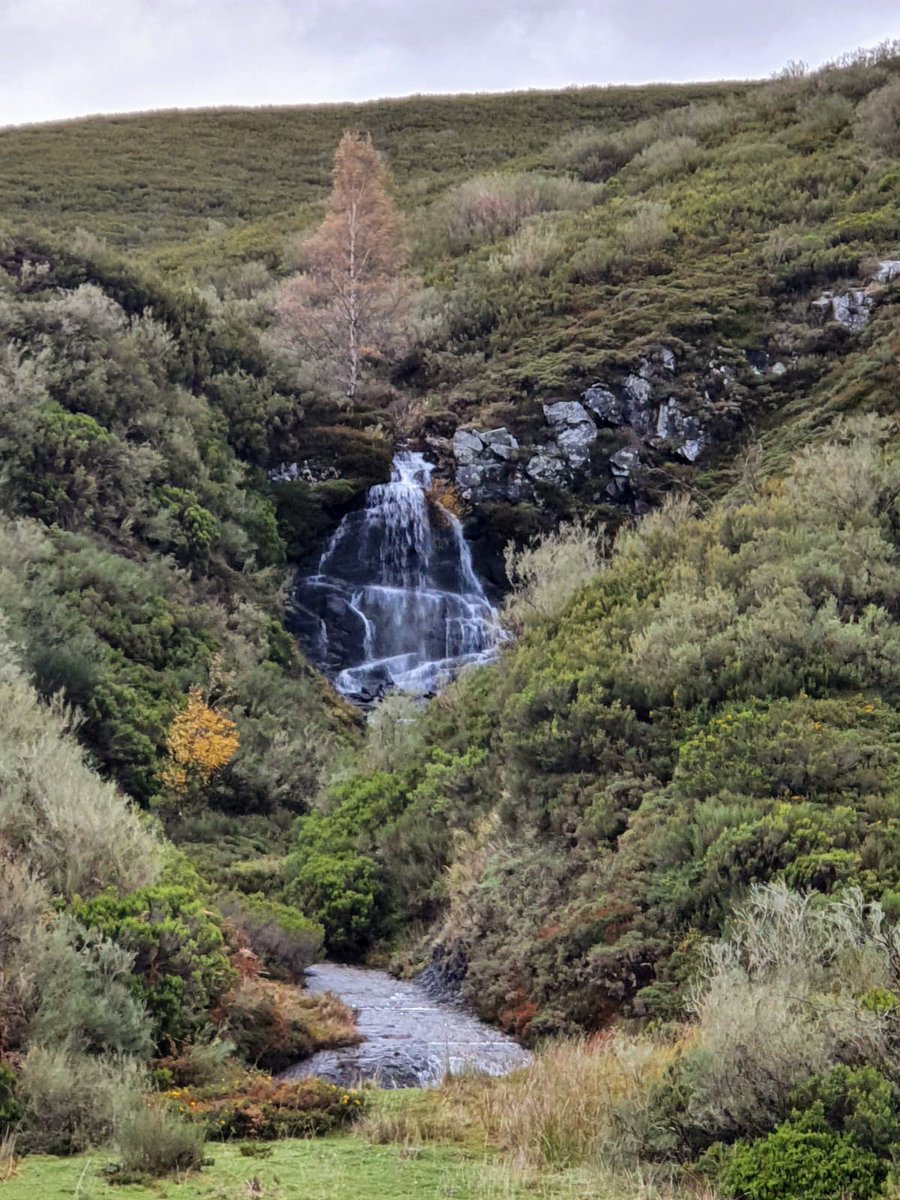 #Otoño🌰🍂🍁🍃
#paisajesentreasturiasyleón