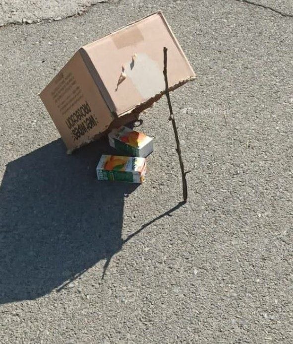 آقا بیاید تله بسیجی آوردم براتون
#مهسا_امینی