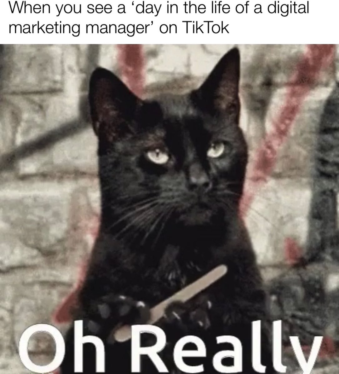 TMYWIMarketing's tweet image. How’s peak season planning working out for you? ☕️ #DigitalMarketing #blackfriday #marketingagency