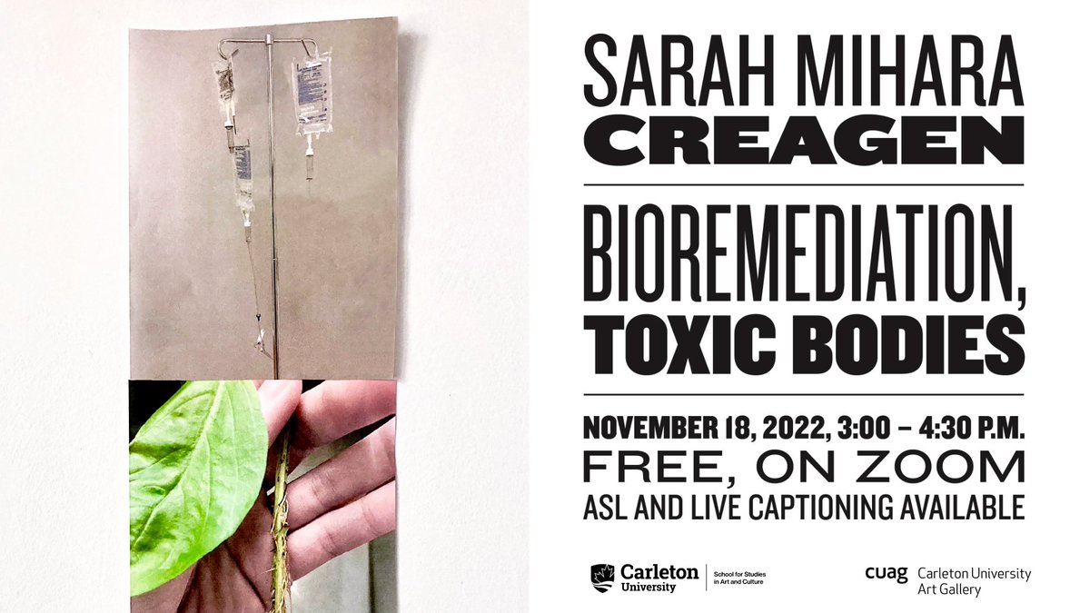 Carleton Art & Architectural History tweet media