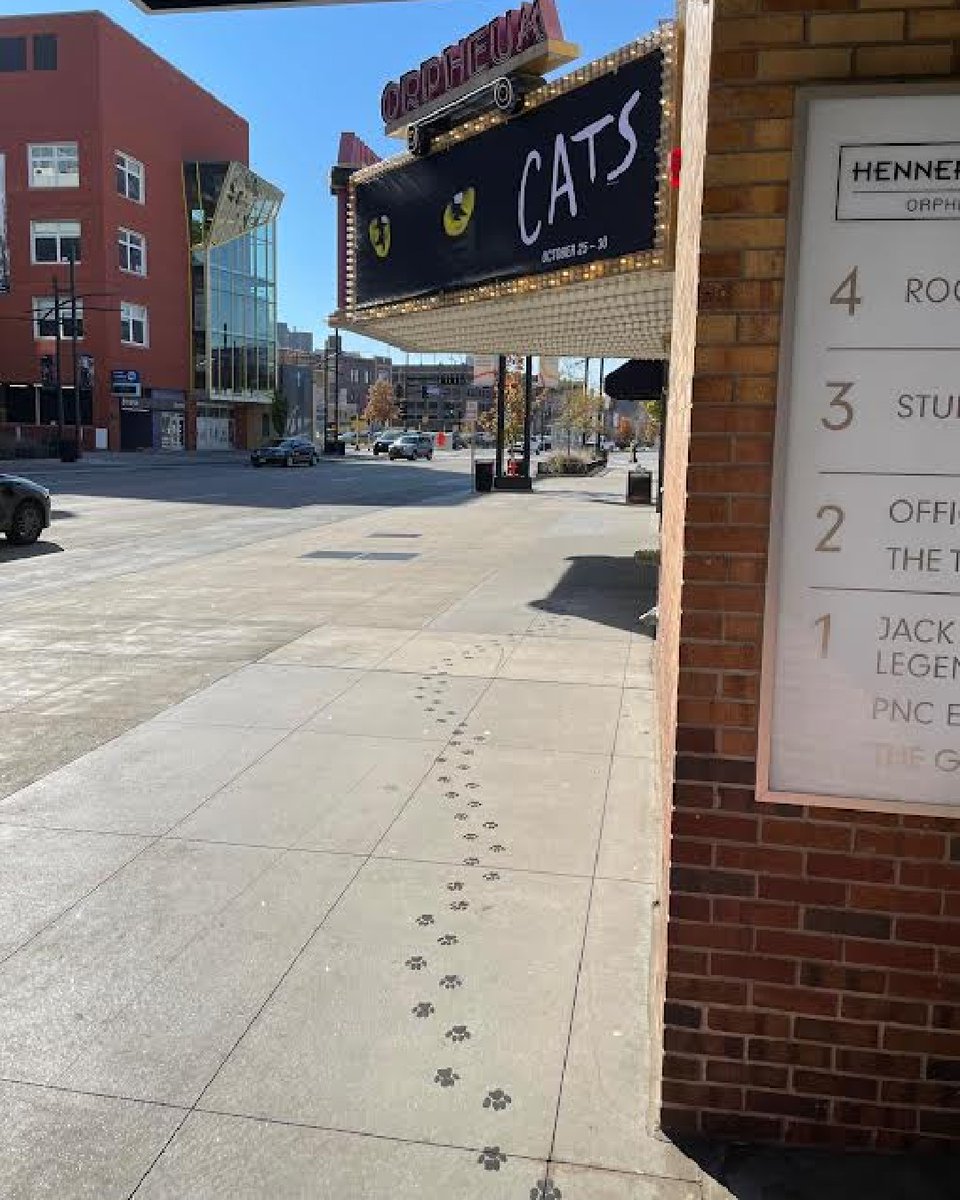 HennepinArts's tweet photo. Happy #NationalCatDay! 🐈
Follow the 🐾 from the Orpheum to The Hennepin after today's matinee of @catsthemusical to join HTT and @Animal_HumaneMN at the Jellicle Ball!
Meet adoptable #kittens, learn from a #CatBehaviorist and help our feline friends who need a second chance! https://t.co/wI2EUl7Amm