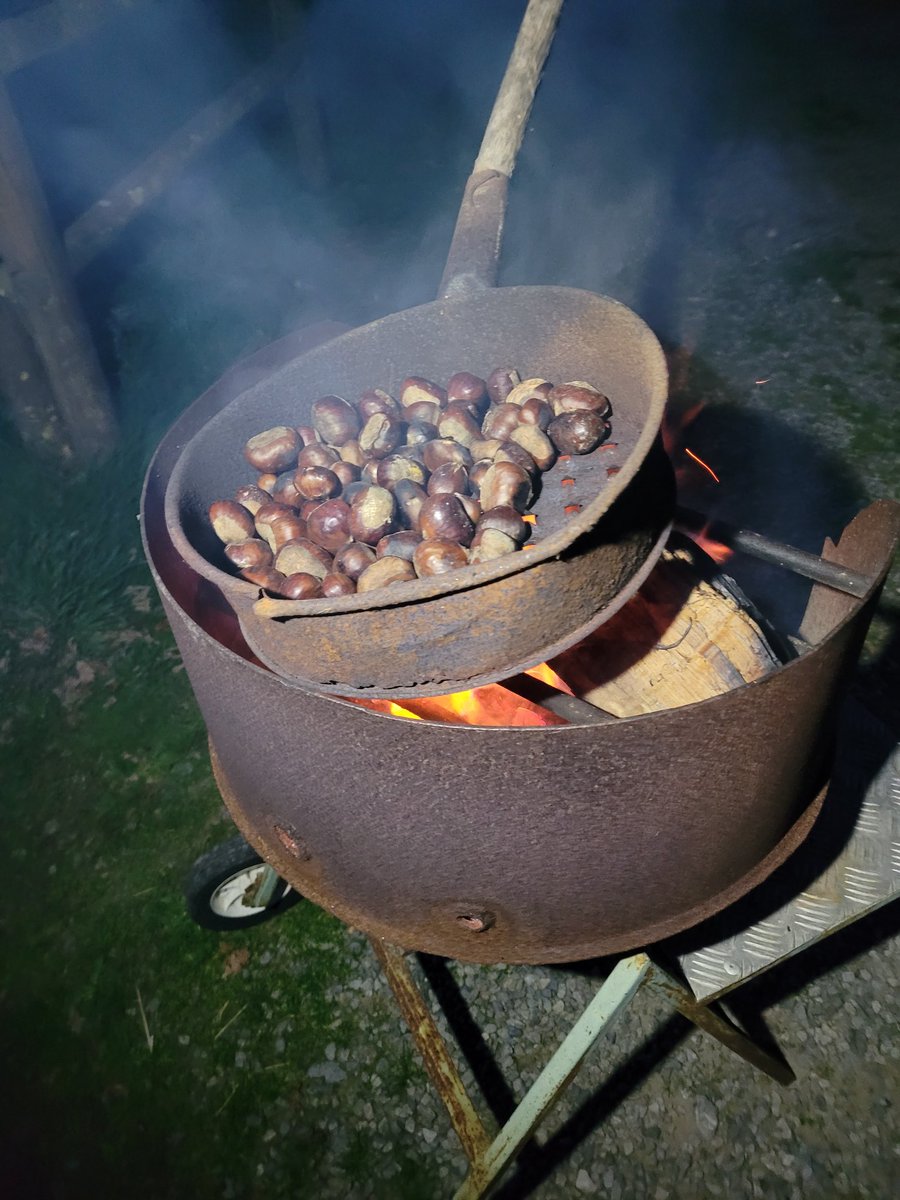 Ce soir en dessert châtaignes grillées au barbecue 😛😛. Un vrai régal.