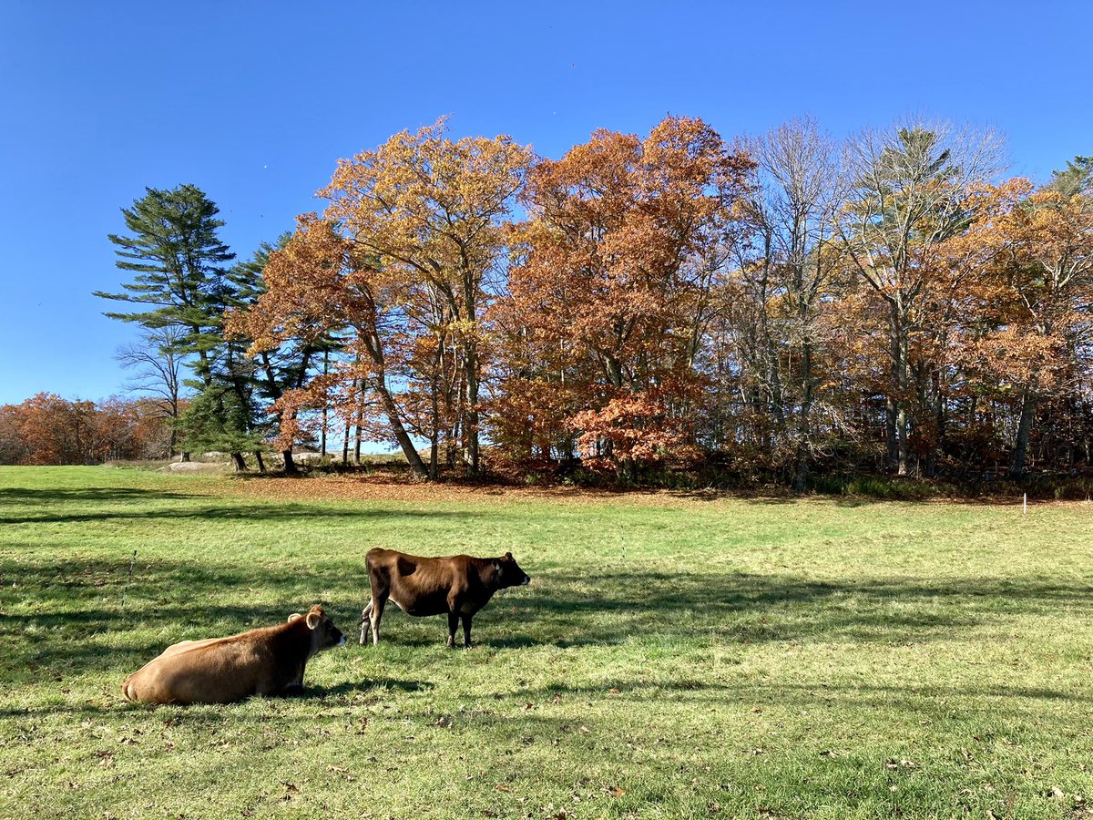 Holt Creek Jerseys tweet media