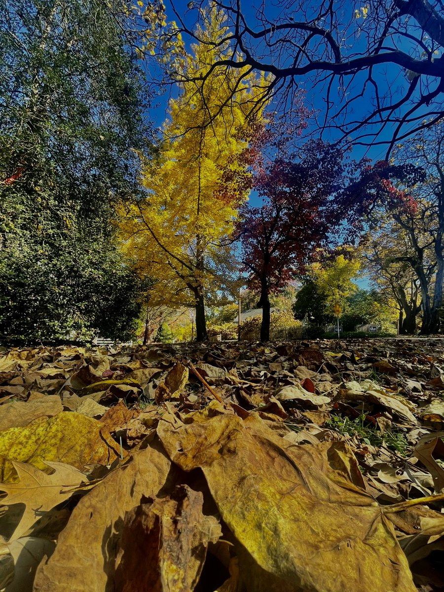 #AutumnWatch #NaturePhotography #nature