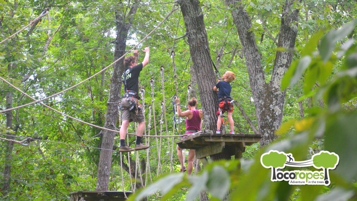 Only 20 days left to "Go Loco." 🌳
Sat, Nov 26th is the last day of our 2022 Season.
Tue-Sat (closed Thanksgiving Day), arrive 10am-2pm (we close when you're done).
Hope to see you soon!
888.669.6717   goloco@locoropes.com