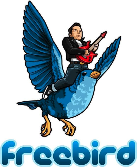 FreeBirdeth's tweet photo. @elonmusk #FREEBIRD 
Decentralized Free Speech! Check us out. https://t.co/jX7V2Q7tvG