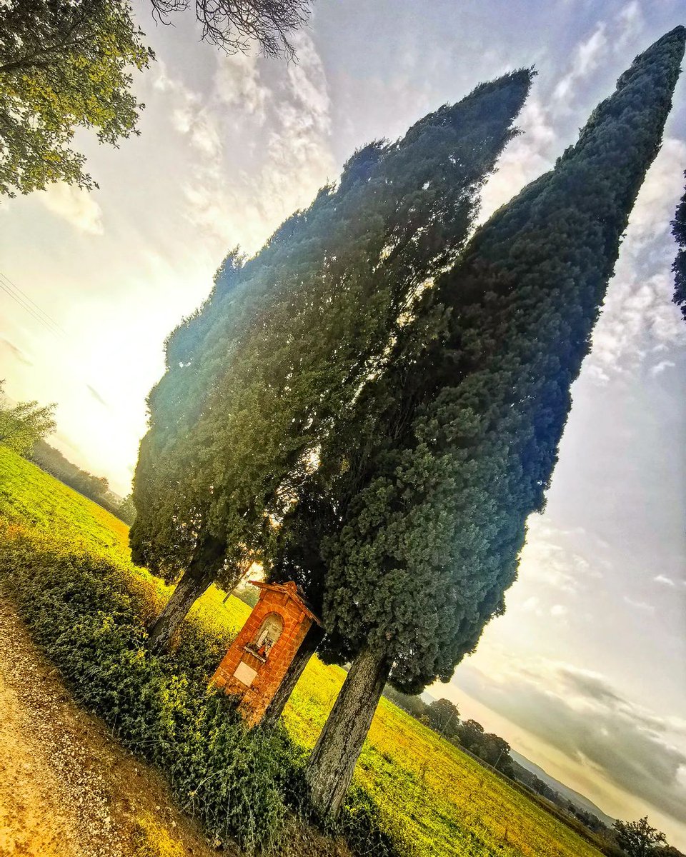 Colle di Val d'Elsa tweet media