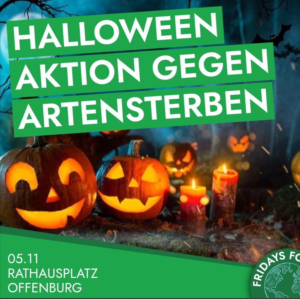 fff_offenburg's tweet photo. Jeden Tag sterben 150 Tier- und Pflanzenarten aus!
 Eine Million weitere Arten sind vom Aussterben bedroht. Dabei spielt der Mensch und der Klimawandel eine große Rolle. https://t.co/mXH0wR6iCp