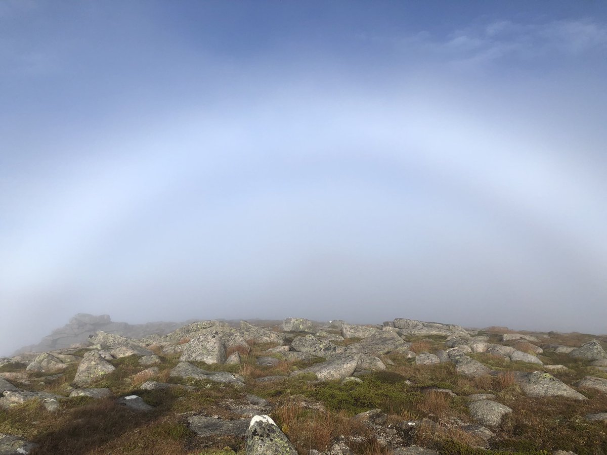 Les Back tweet media