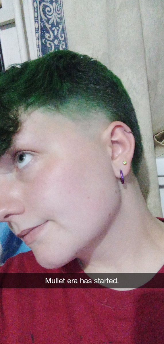 onipluto's tweet image. Here it is!! The green mullet era has started. 😎