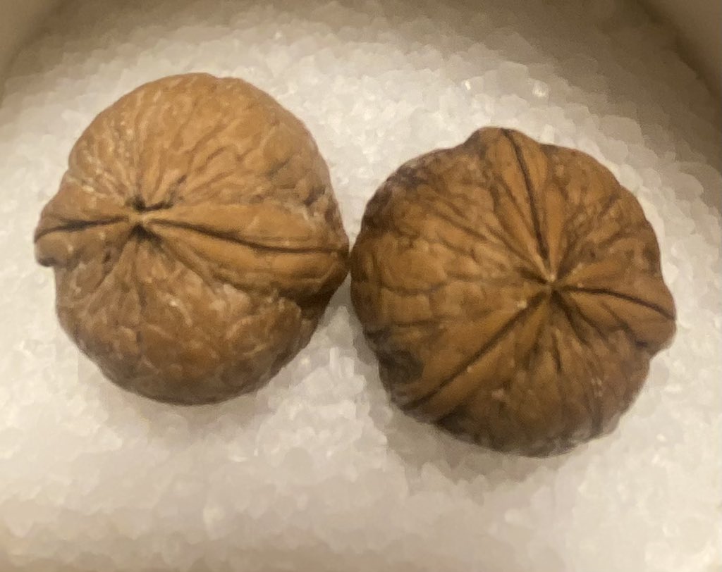 In the world of nuts…. Bicuspid is the new normal