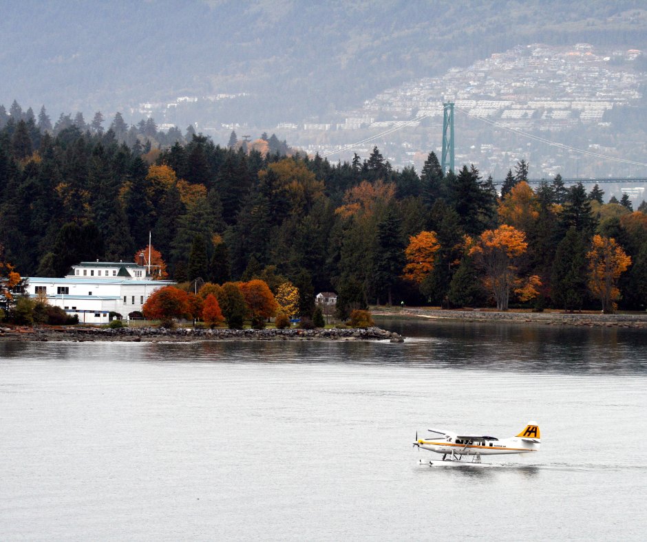 The weather is changing in Vancouver & so are the colour of our trees 🍁 As part of our fall leaf program, we coordinate extra leaf collection for residents with Green Bin service & leaf removal from City streets ➡️ ow.ly/5VcP50LnspI Where are your favourite fall spots?