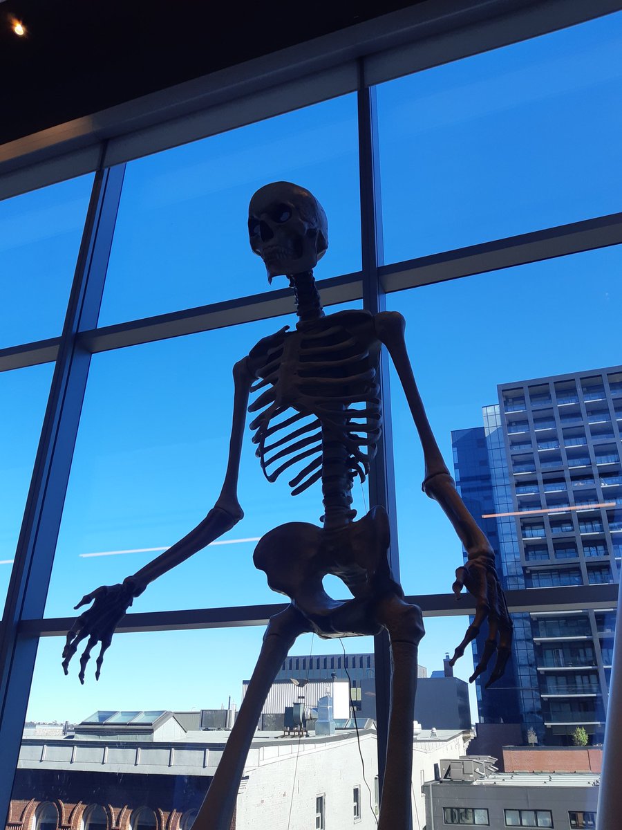 NyamineArt's tweet image. Okay so it&apos;s been amazing so far!! Theres so much to do here!! Free monster too!! #halcon2022