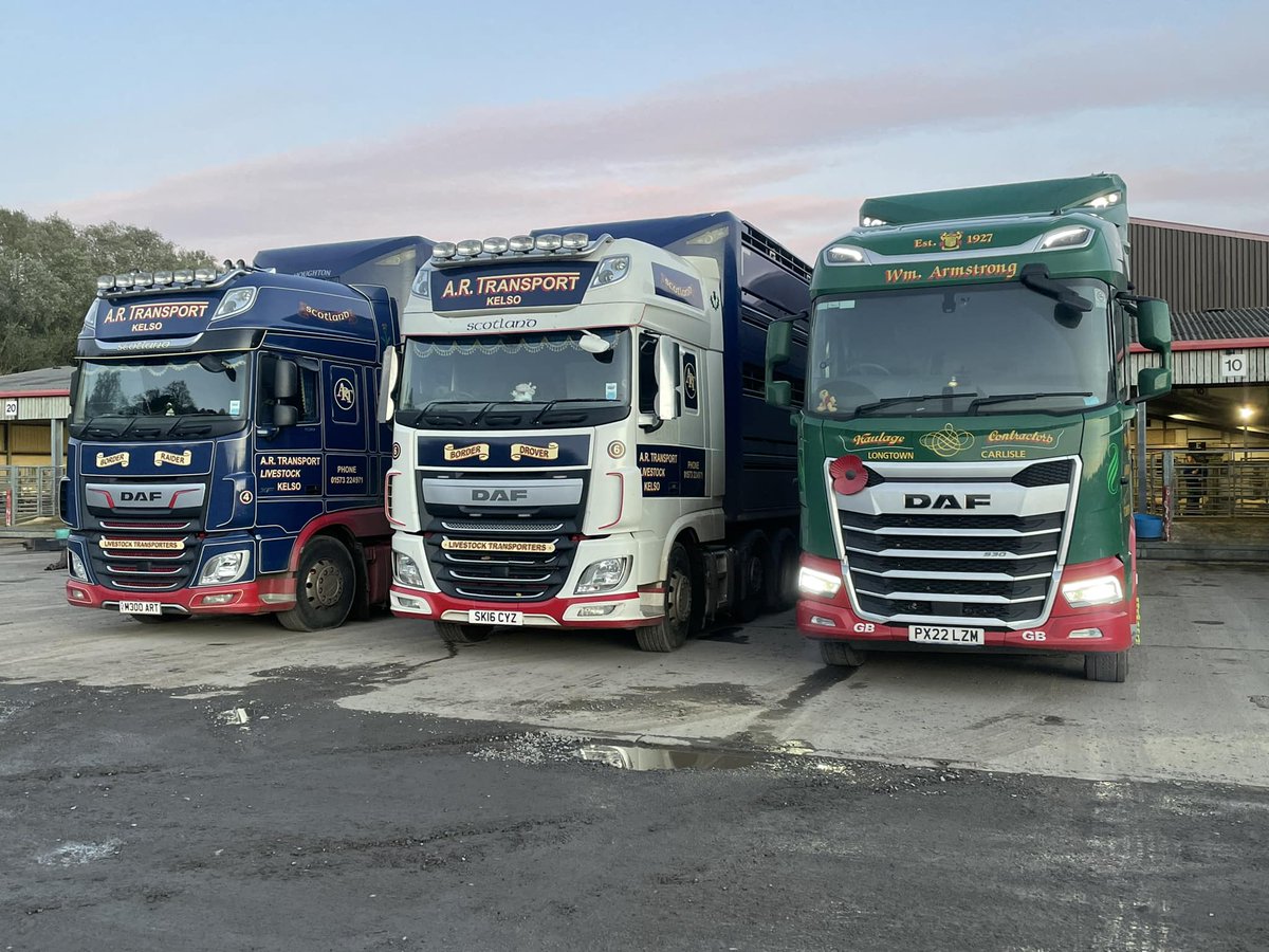 A trio of <a href="/DAFTrucksUK/">DAF Trucks UK 🇬🇧</a> and Houghton Livestock Transporters spotted at Hexham. 

Is there a better combo? 👀

📷by Greg Notman

#houghtonparkhouse #livestock #livestockmarket #livestocktransport #livestocktrailer #livestockhaulage #ARTransport #WMArmstrong #daftrucks