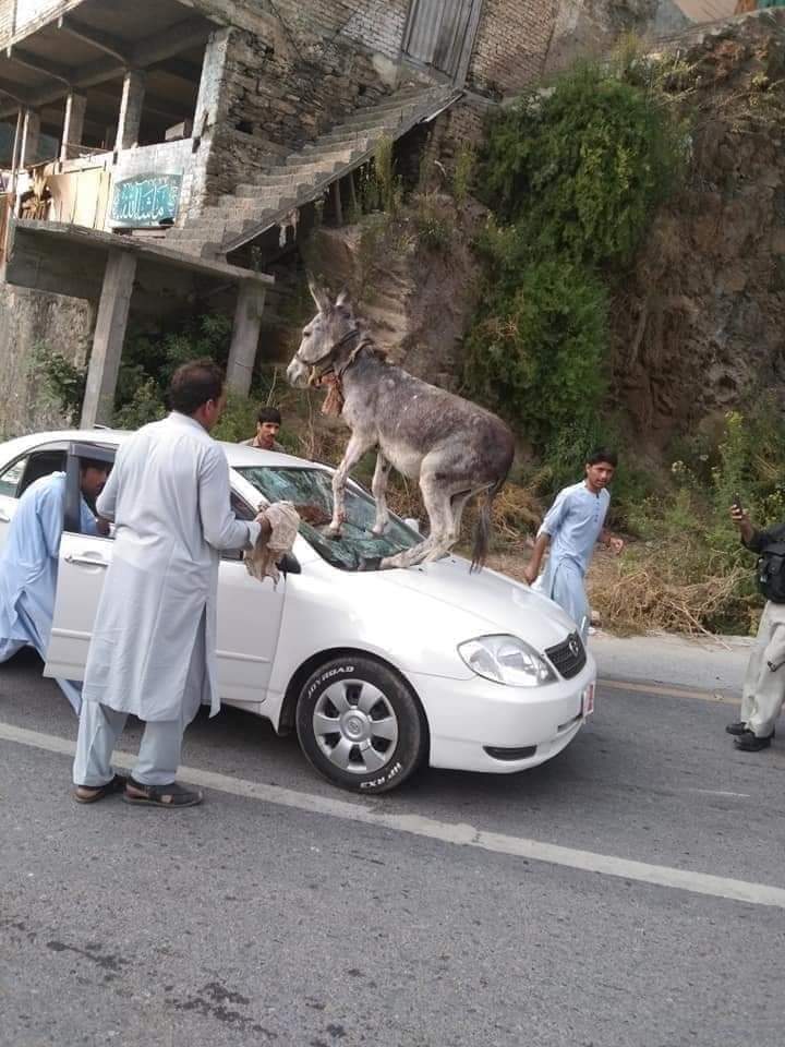 Mangat_81's tweet photo. یہ ابھی نیچے اتر بھی جاۓ تو کیا فائدہ 
گاڑی کا بیڑہ تو غرق کر دیا ھے سمجھنے والوں کیلیے یہی کافی ھے.
فل سیاسی  پوسٹ
😂😂😂😂 https://t.co/8bpXOiDfcQ