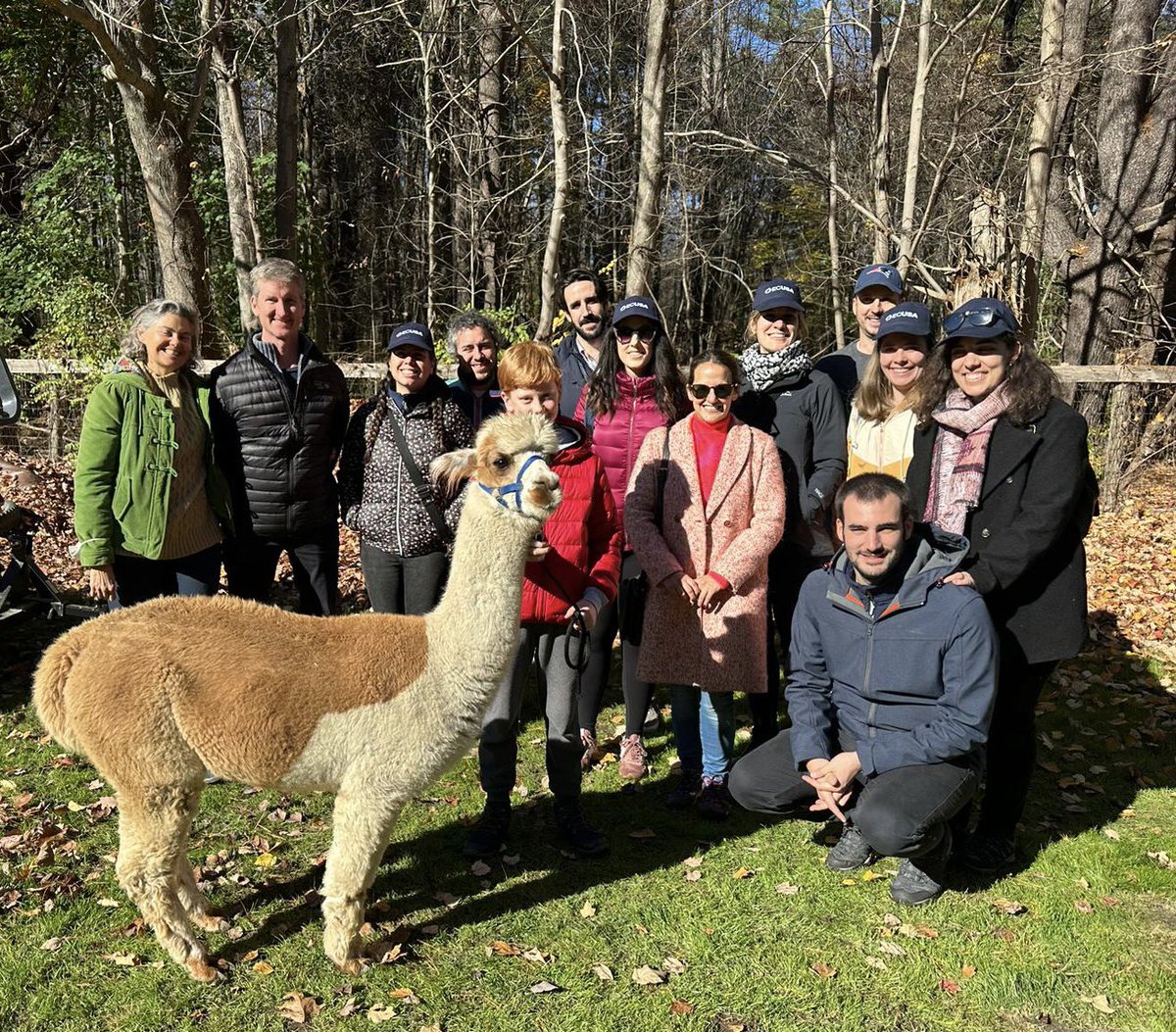 Hoy en #discoverwithECUSA, el capítulo de #Boston ha visitado el Harvard Alpaca Ranch 🦙 🦙 Una oportunidad para descubrir a estos animales únicos