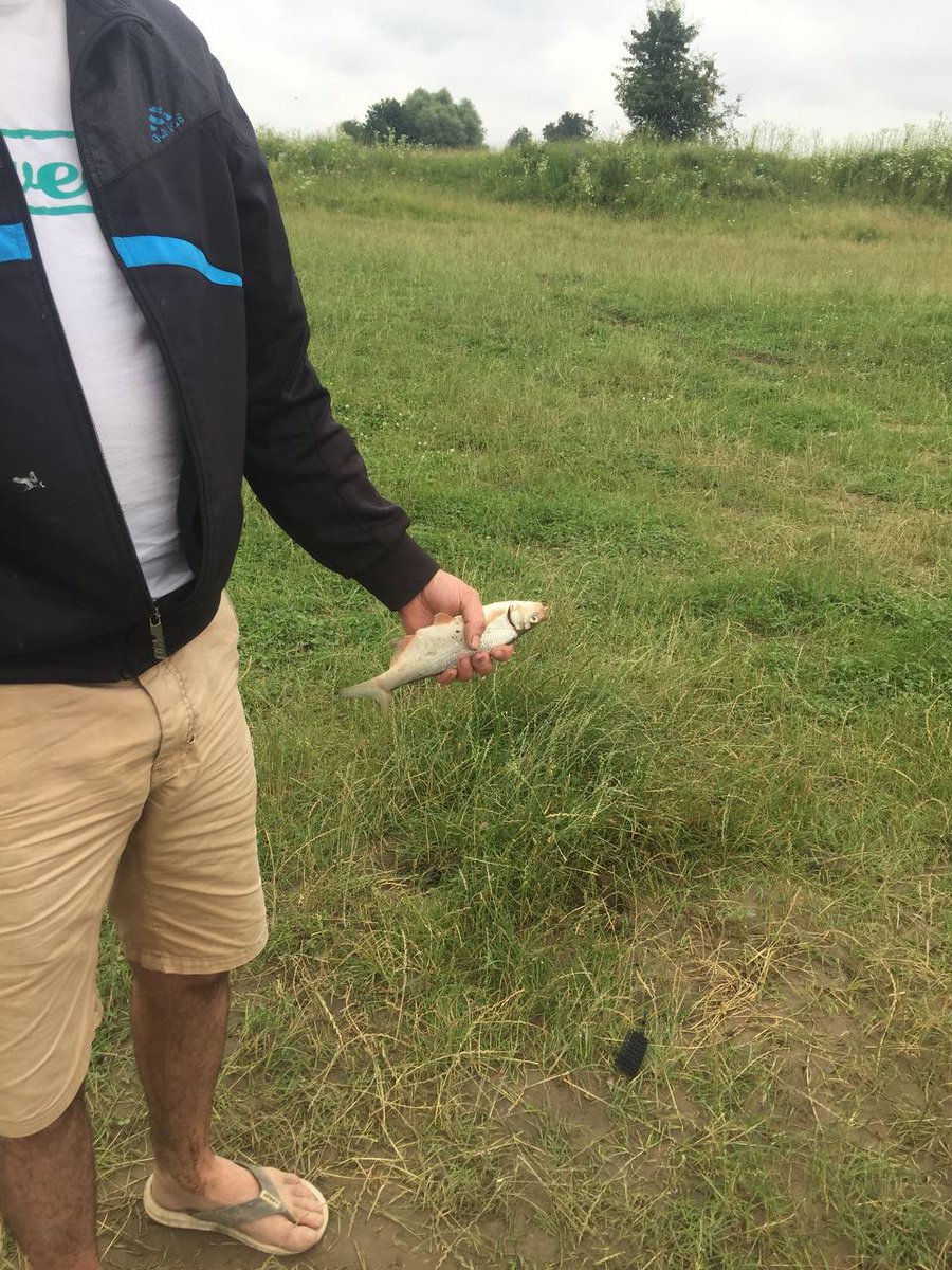 romanlanos's tweet photo. fishing https://t.co/wpiGpLSXm2