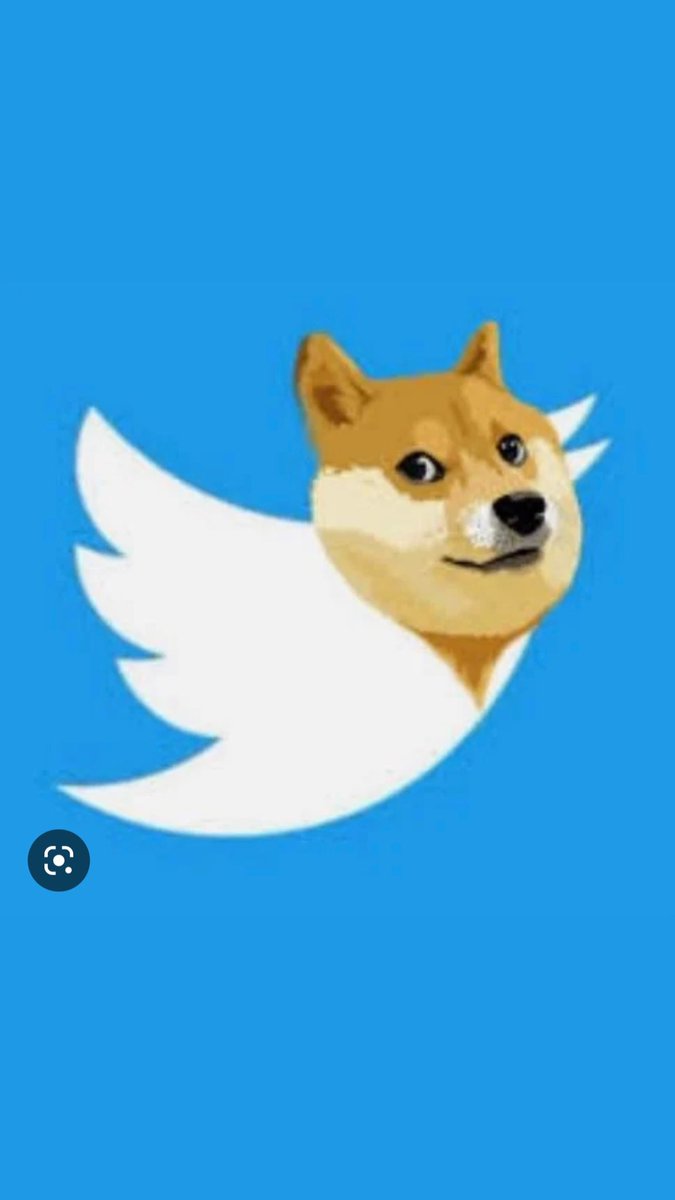 Anthony Oviedo tweet media