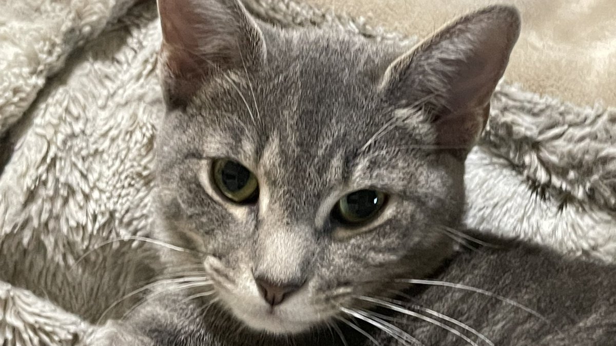 Make it make sense tweet media