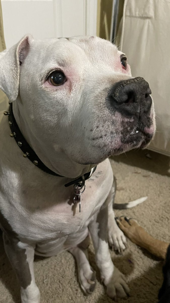 Make it make sense tweet media