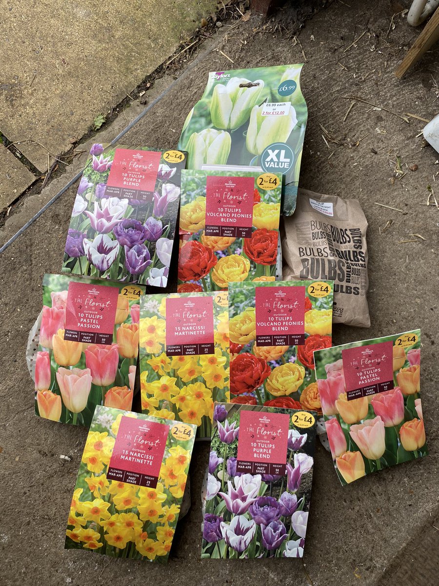 Top up of bulbs for the garden
