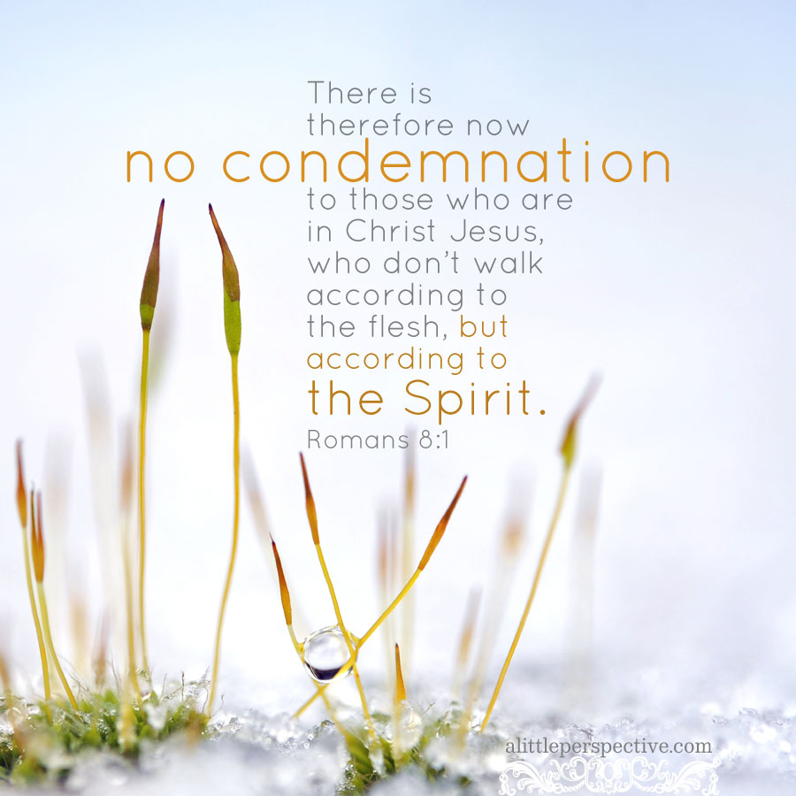 There is therefore now no condemnation to those who are in Christ Jesus, who do not walk according to the flesh, but according to the Spirit. For the law of the Spirit of life in Christ Jesus has made me free from the law of sin and death. - Romans 8:1-2 (NKJV)