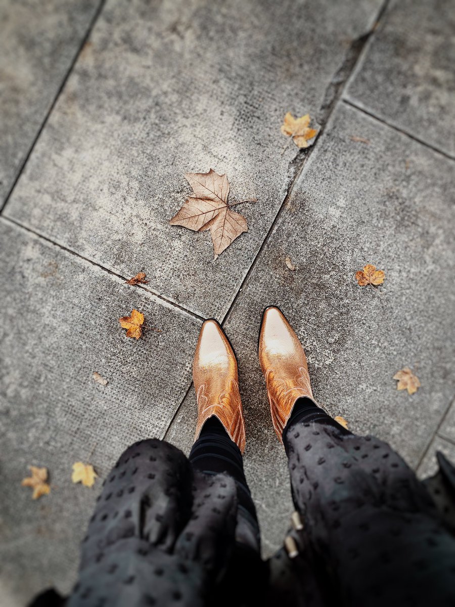 👁️’m Testing Positive 4 The Funk
👁️’ll Gladly Pee In Anybody‘s Cup
And When Ur Cup Overflow 
👁️‘ll Pee Some More
- Prince ‚We Can Funk‘
Pic ©️ Rosa Mayland 
#Style #Fashion #Shoes #Gold #Funky #Prince4Ever #Autumn #Fall #Leaves #ShoeSelfie