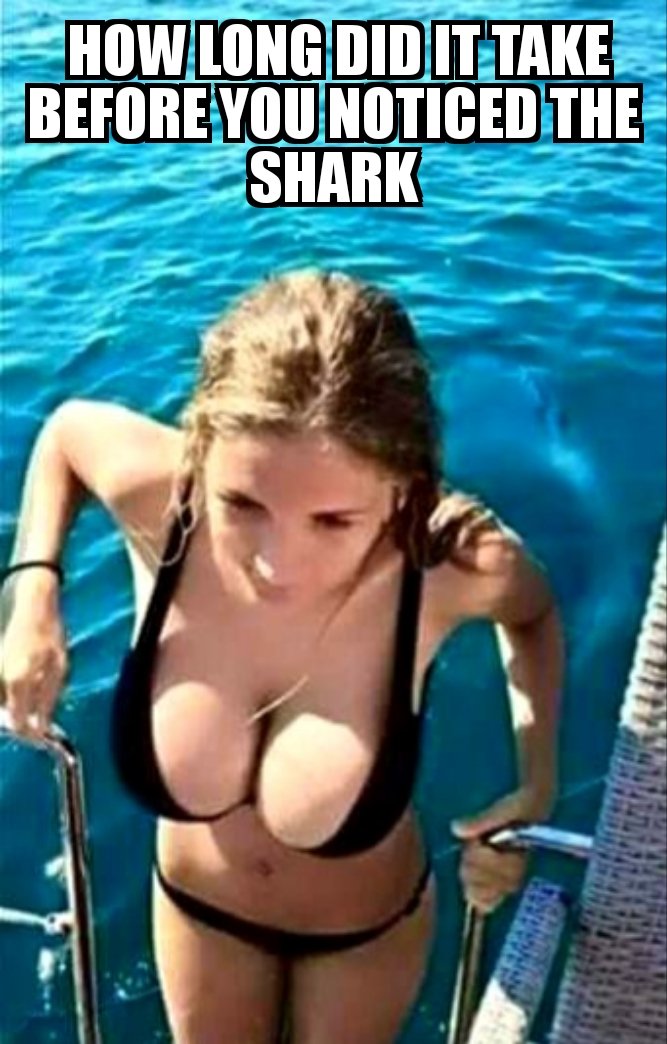 MADMEMES2022's tweet photo. #memecoin #Memes https://t.co/eKKe9PxhZM