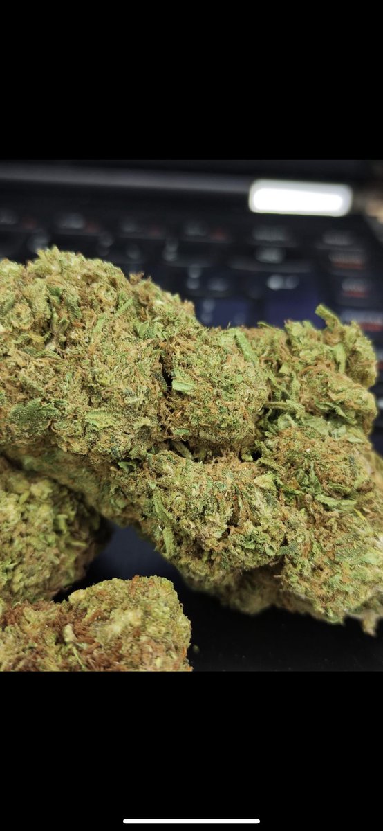 extreme_high420's tweet photo. Hoy 29 de octubre pide dulce en vez de truco con un 2x1 en oz y pelon de regalo 🥳 https://t.co/asRBOlRRqV