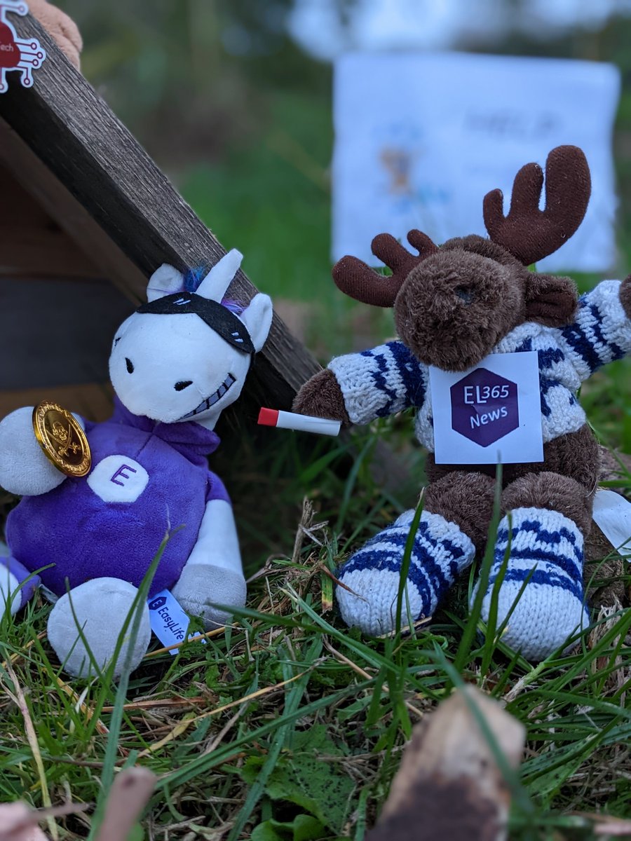 Patrick Heemskerk 💙💛 #stopwar tweet media