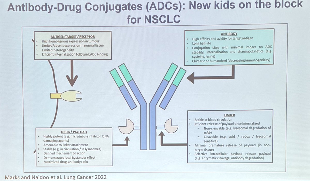 StephenVLiu's tweet image. Antibody drug conjugates increasingly relevant for NSCLC as discussed by Dr. @benlevylungdoc at #DCLung22 with highlights including trastuzumab deruxtecan (T-DXd) in #HER2 mutant NSCLC (dose is 5.4 mg/kg) and patritumab deruxtecan (HER3-DXd) in #EGFR mutant NSCLC. #LCSM