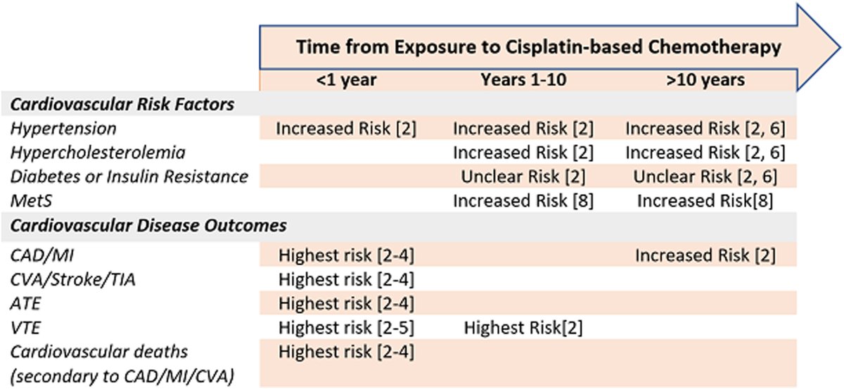 JACC Journals (@jaccjournals) on Twitter photo While #TesticularCancer patients can achieve a high rate of cure w/ cisplatin-based chemo, it ⬆️ the risk of #CVD among survivors. Learn to manage these complications in this new #JACCCardioOnc “How To” article: bit.ly/3FoVqqj
#CardioOnc #tscsm #MedTwitter <a href="/kgsindhu/">Sindhuja Kadambi</a> While #TesticularCancer patients can achieve a high rate of cure w/ cisplatin-based chemo, it ⬆️ the risk of #CVD among survivors. Learn to manage these complications in this new #JACCCardioOnc “How To” article: bit.ly/3FoVqqj
#CardioOnc #tscsm #MedTwitter <a href="/kgsindhu/">Sindhuja Kadambi</a>