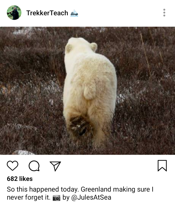 Ed's IG. Photo of a polar bear retreating. Caption reads "So this happened today. Greenland making sure I never forget it. Photo by @JulesAtSea"