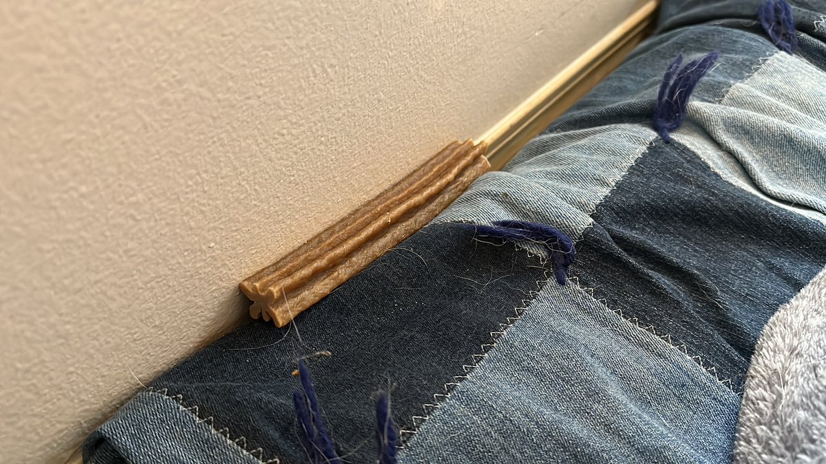 Kate (@kateypical@mastodon.social) tweet media