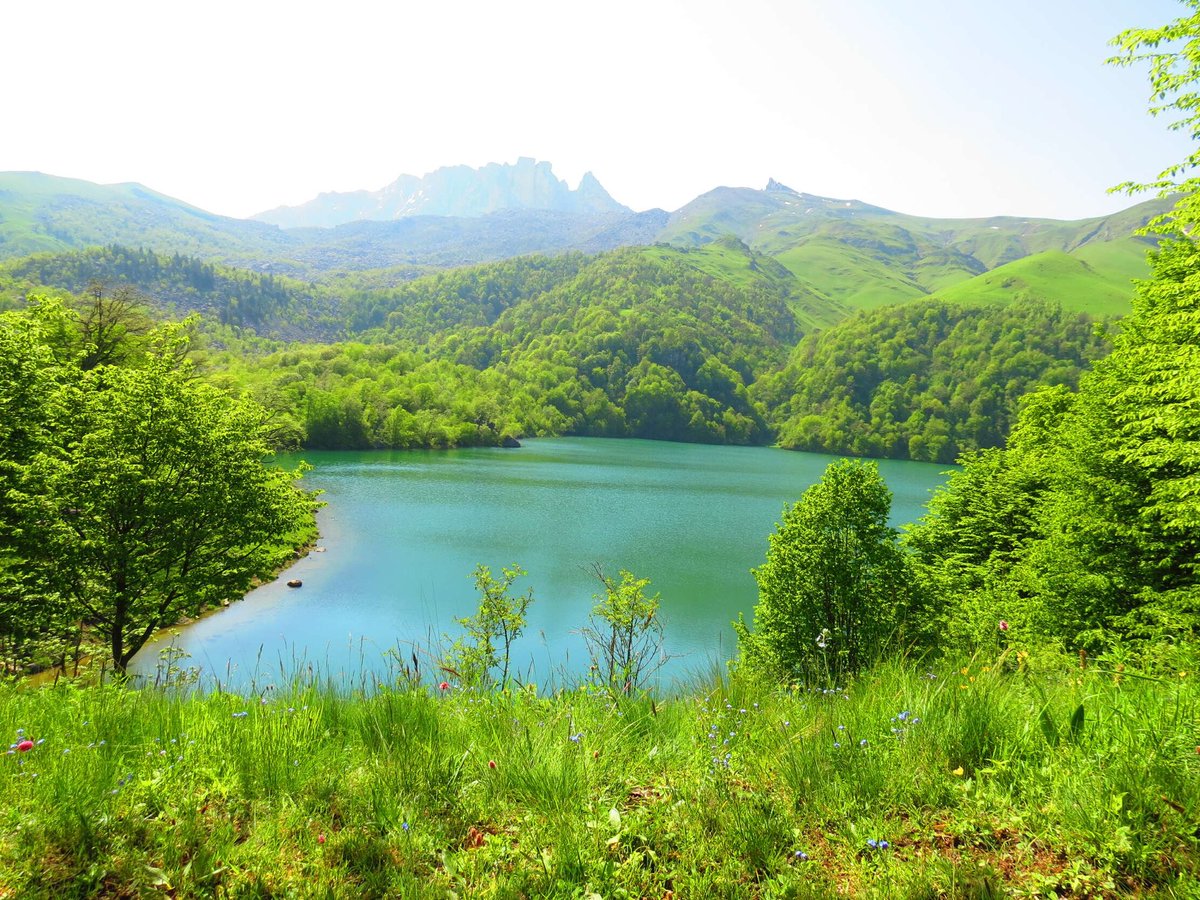 TravelNamigoglu's tweet photo. Kiçik Qafqazın sehirli məkanı "Maralgöl" 💚 
Hər kəsə bu yerləri görməyi şiddətlə tövsiyə edirəm. Gedərkəndə hər kəs kimi gölü görüb şəkil çəkdirib qayıtmayın

Maralgol, Azerbaijan 🇦🇿

#nature #natureazerbaijan #travel #maralgöl #namigoglutravel https://t.co/i3bGNRTRMp