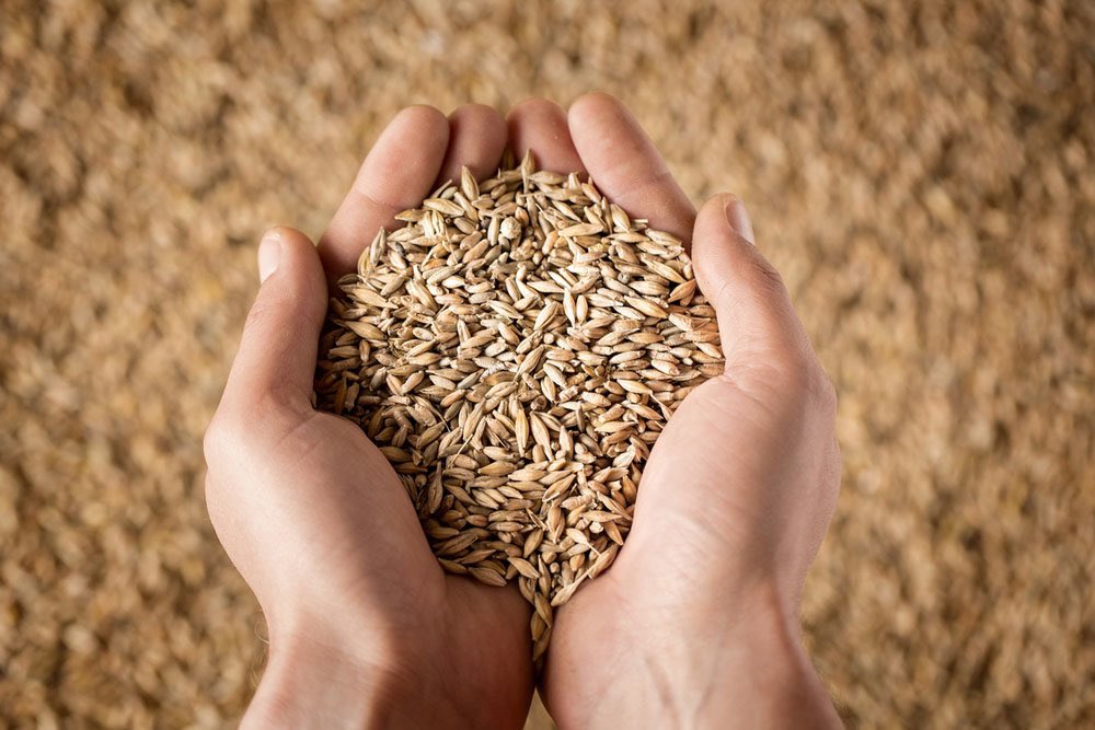 GRAIN on X tweet media