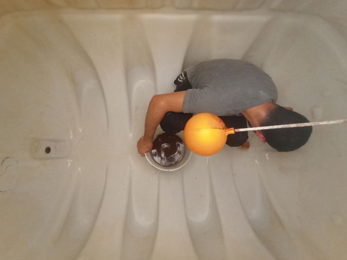 #تاريخ_مميز