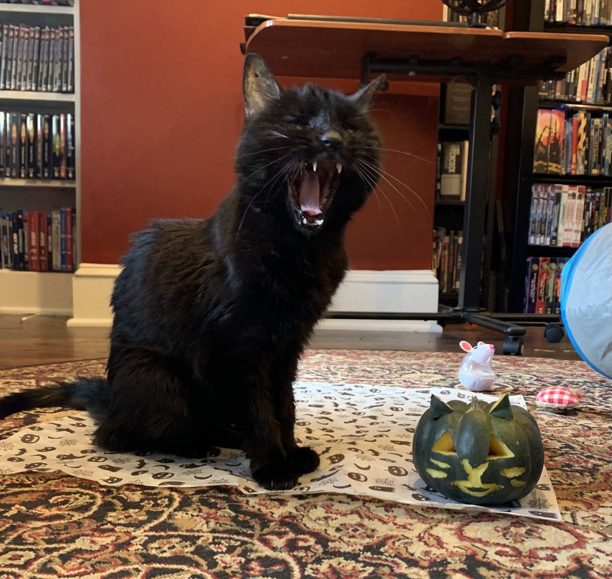 Happy spoopy weekend 🎃👻🖤