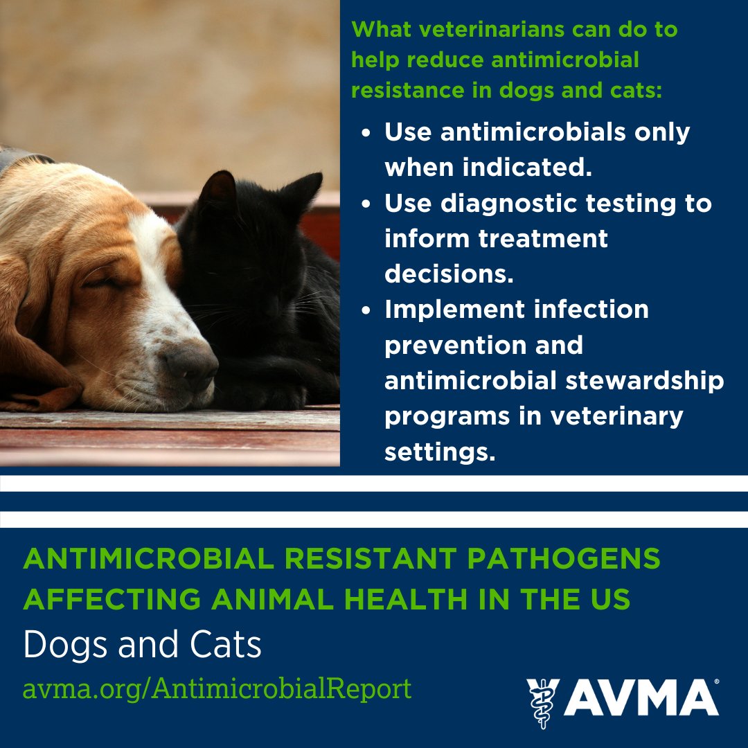 Tweet by AVMA (American Veterinary Medical Association)