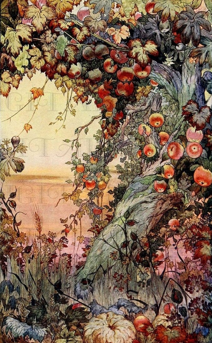 cottageinwood's tweet photo. 🍎 To celebrate 10k followers, here is a thread of your fairytale astrology 🍃 🍂 https://t.co/YDvr9nfPqz