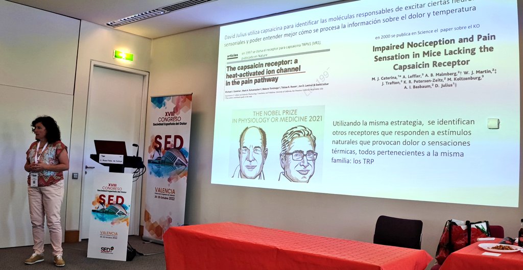 Sedolor's tweet photo. En #SEDValencia22 @CarolinaRozaPhD puso a prueba los canales TRP de los congresistas con diferentes tipos de alimentos: wasabi, capsaicina, mostaza, rábano picante, menta...
#SEDValencia22 #Dolor #TRP https://t.co/YKRBNZkOG9