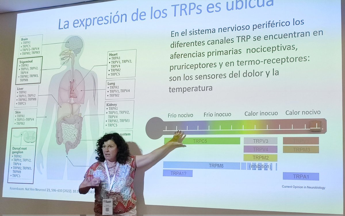 Sedolor's tweet photo. En #SEDValencia22 @CarolinaRozaPhD puso a prueba los canales TRP de los congresistas con diferentes tipos de alimentos: wasabi, capsaicina, mostaza, rábano picante, menta...
#SEDValencia22 #Dolor #TRP https://t.co/YKRBNZkOG9